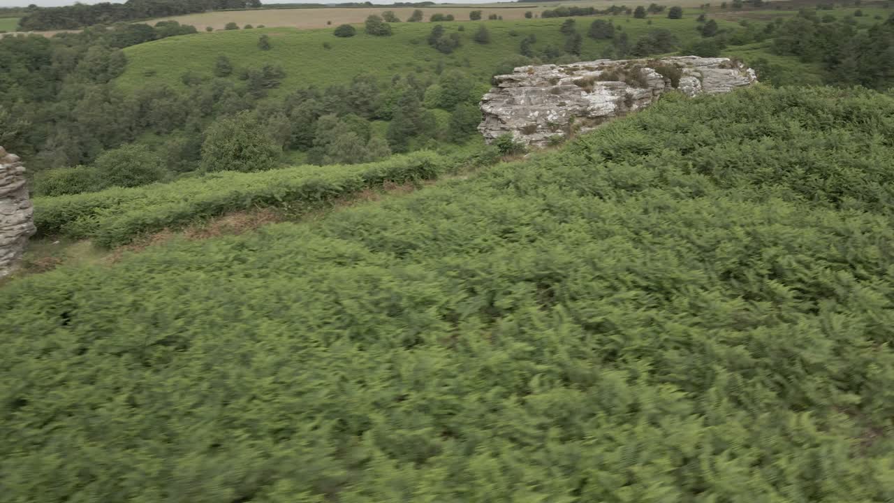 imágenes en órbita aérea de 4k de formaciones rocosas de piedra arenisca en el bosque de dalby, north yorkshire