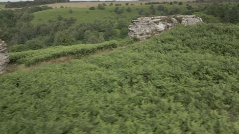 Imágenes-En-órbita-Aérea-De-4k-De-Formaciones-Rocosas-De-Arenisca-De-Bridstones-En-El-Bosque-De-Dalby,-Yorkshire-Del-Norte