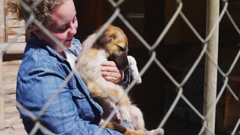 perro en un refugio con un voluntario