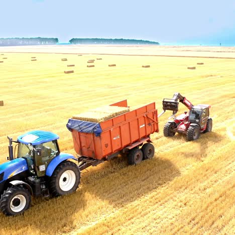 tractor picking up bales of straw hay. aerial drone view of collection of straw bales