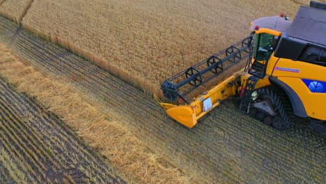 combine harvester working on a wheat field. combine harvester aerial view.