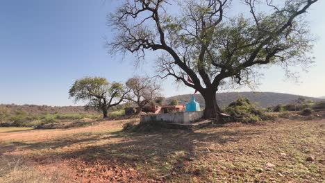 Weitwinkelaufnahme-Eines-Kleinen-Tempels-Unter-Einem-Riesigen-Alten-Baum-In-Einem-Ländlichen-Dorf-In-Madhya-Pradesh,-Indien