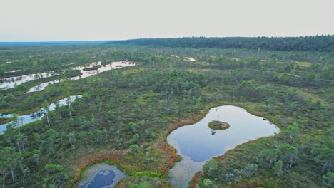 an aerial view of several lakes surrounded by trees