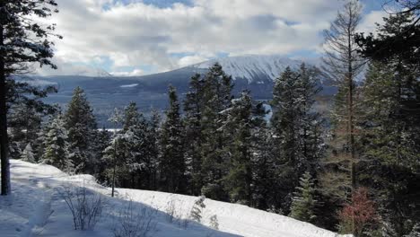 Drone-Elevándose-En-Un-Bosque-Nevado-Sobre-Pinos-Con-Paisaje-Invernal-En-El-Fondo,-Dorado-En-Columbia-Británica,-Canadá