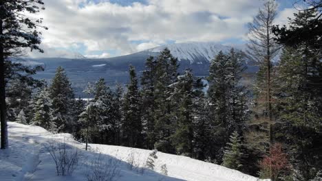drone rising in snowy forest over pine trees with winter landscape in background, golden in british columbia, canada