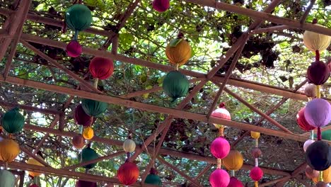 colorful spherical decorations hang beneath a wooden trellis surrounded by lush green foliage.