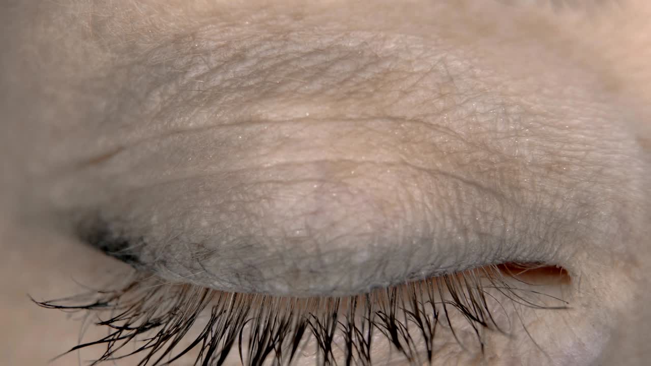 매크로 아이 소녀