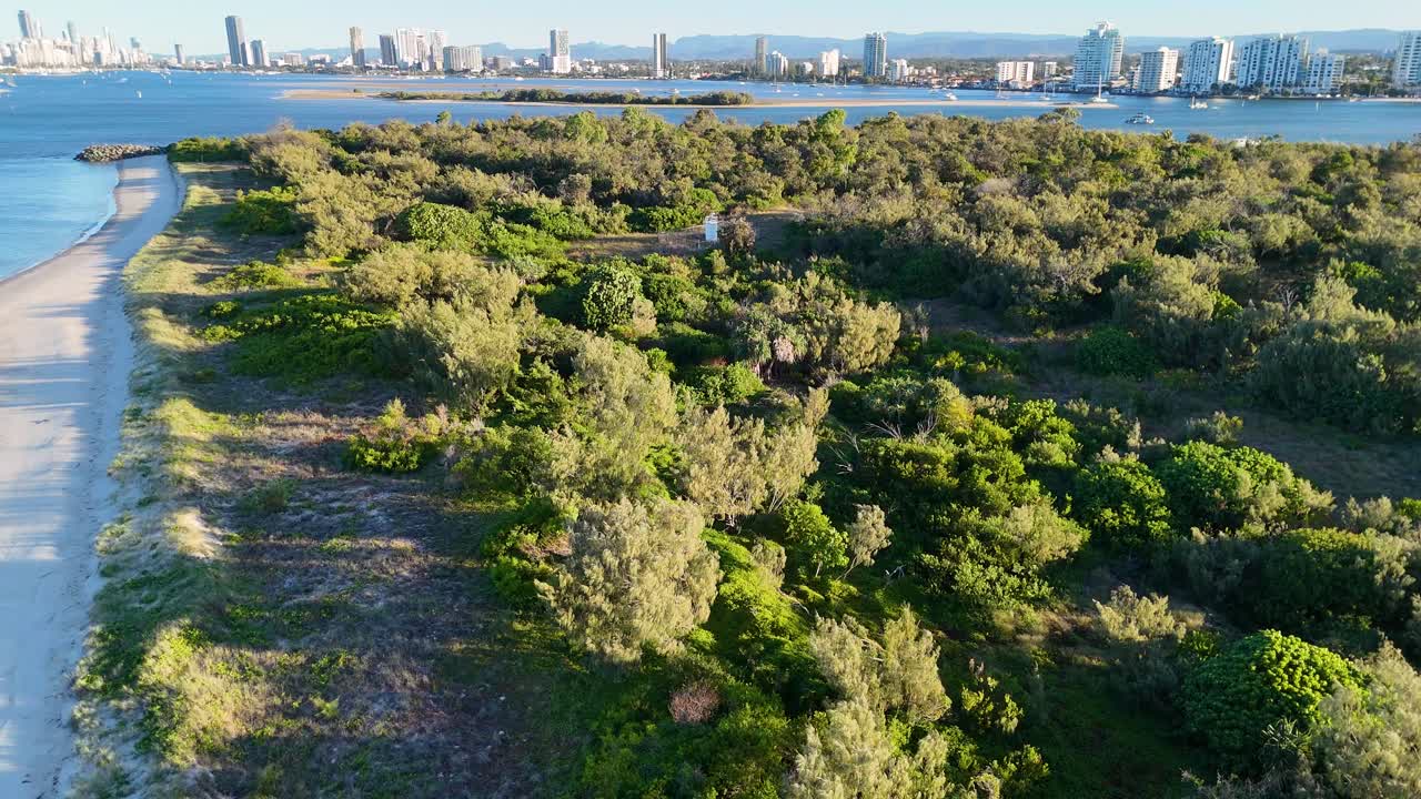 Drone captures scenic coastline with lush greenery and distant city skyline under warm sunset lighting