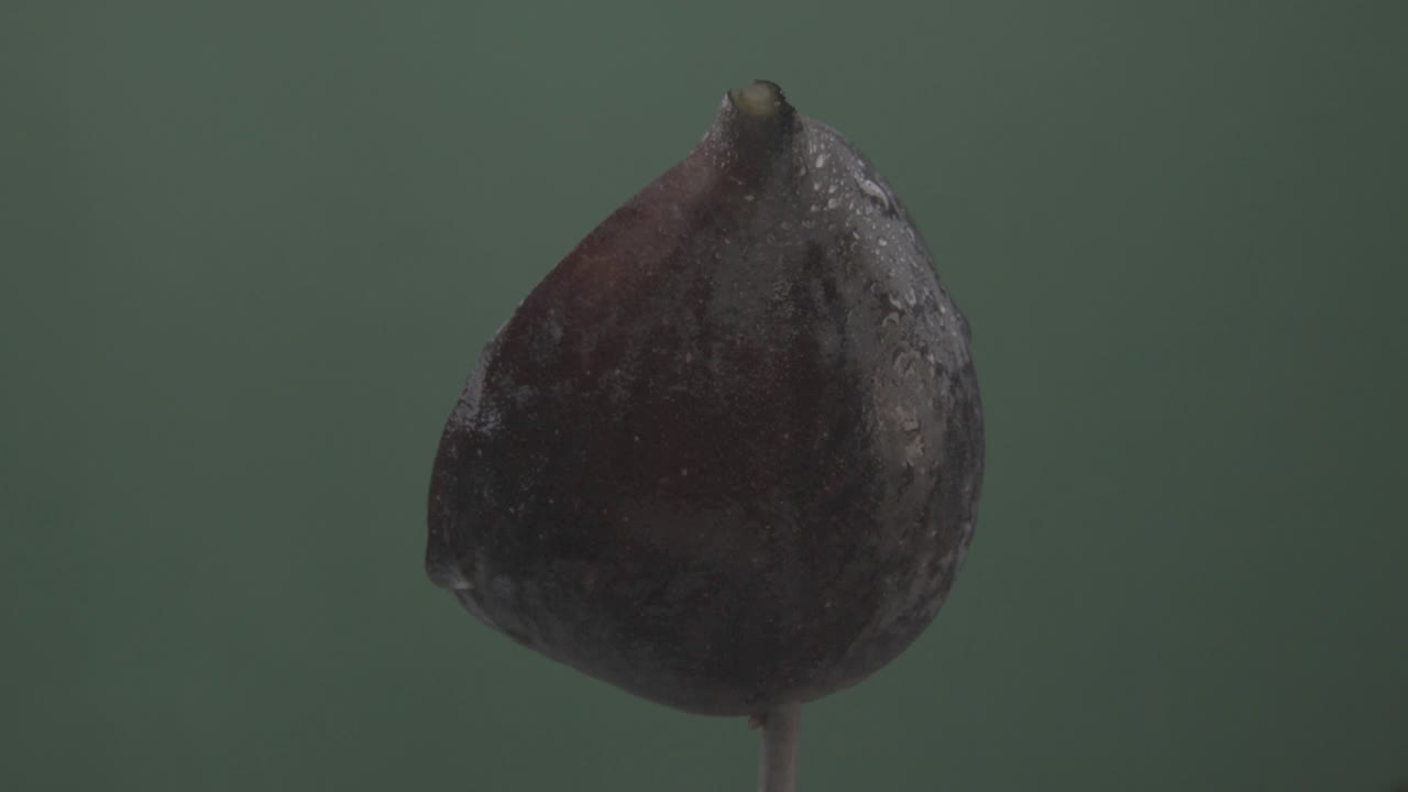 Fig rotating with loop on green screen for chroma key