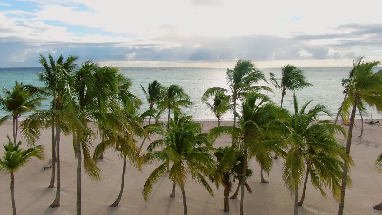 Tropical beach in sunrise, sunset, aerial view of palm trees and blue ocean, Caribbean Sea panoramic scene, nobody