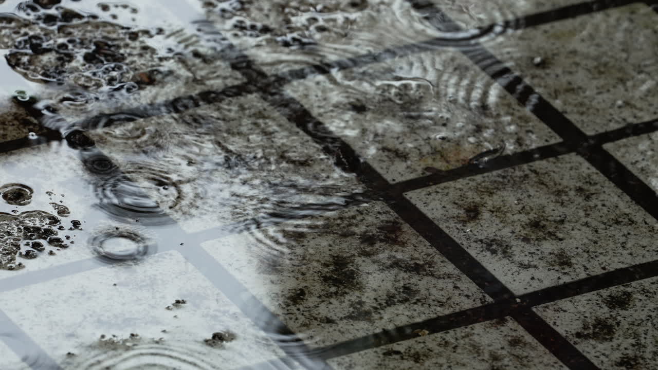 포장된 도로에 이슬비가 내린다.