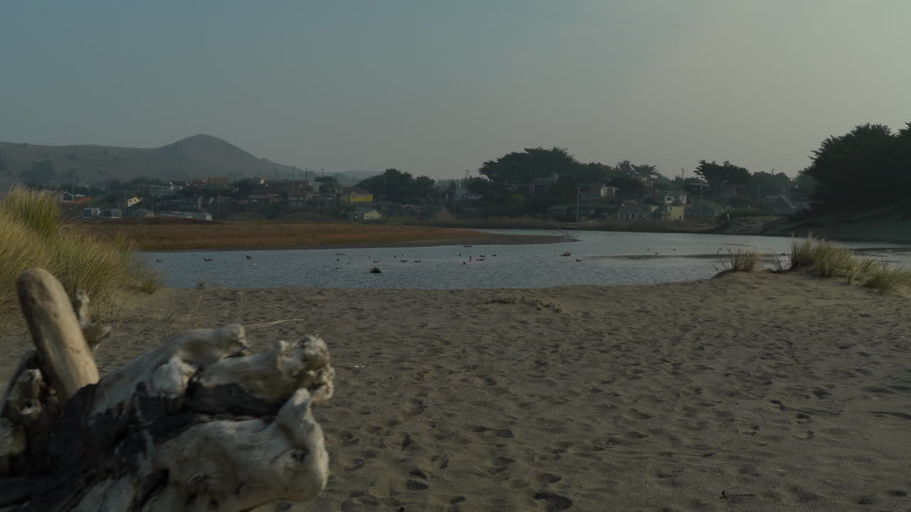 piscina de marea de la costa del condado de sonoma en el norte de california