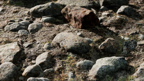 close up of rocky stones formation