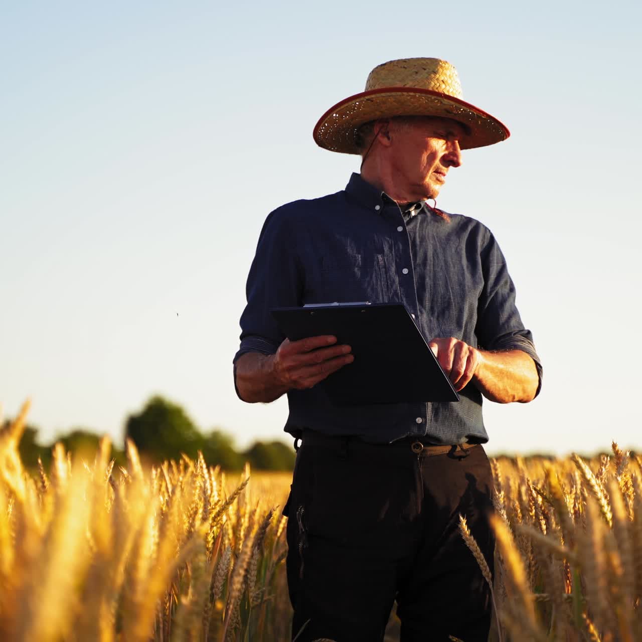 Agricultor en campo de trigo