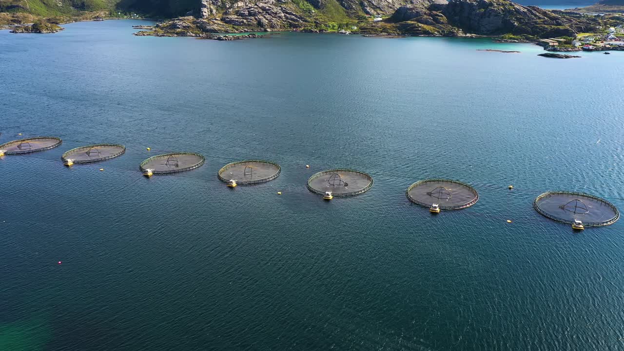 노르웨이에서 연어  ⁇ 시를 하는 공중 촬영