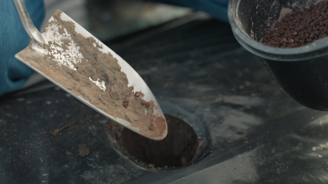 close up gloved adult hand gripping wooden trowel handle and soil filled bucket with seedling pot over plastic mulch mud splattered tool with dew glistening under natural light for planting