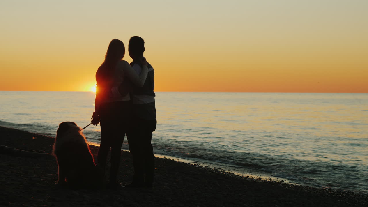 해안에서 부부와 개 시계 일몰