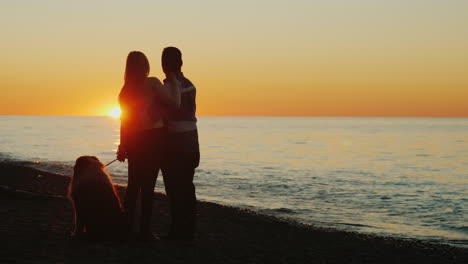 pareja y perro miran la puesta de sol en la orilla