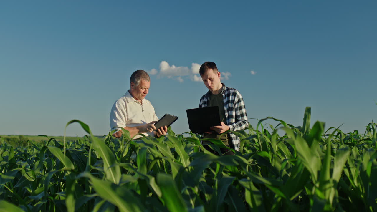 Agricultores Inspecionando Campo de Milho com Tecnologia