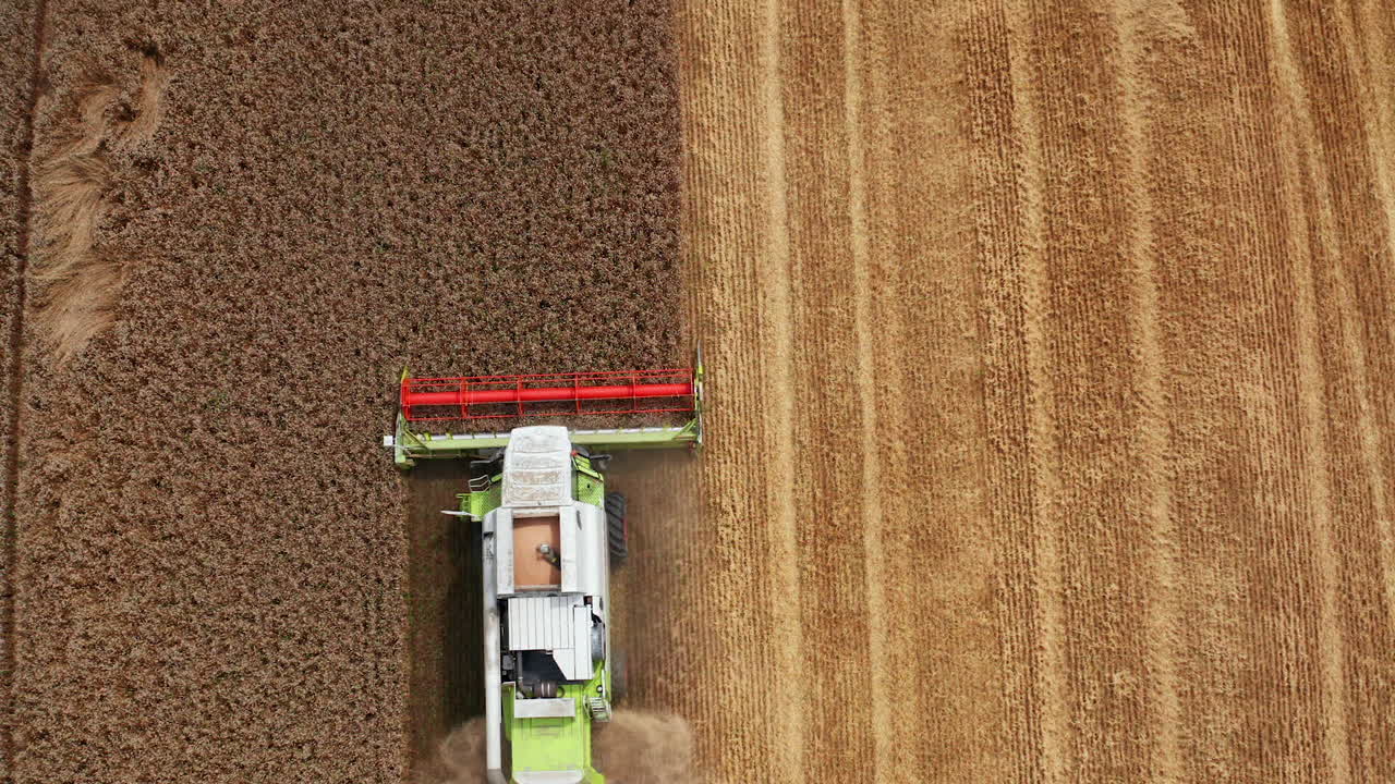 Harvester machine sliding easily by the ripe dry wheat. Aerial perspective on the farmland half-mowed by the combine.