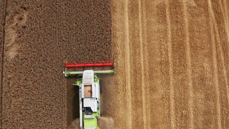 harvester machine sliding easily by the ripe dry wheat. aerial perspective on the farmland half-mowed by the combine.