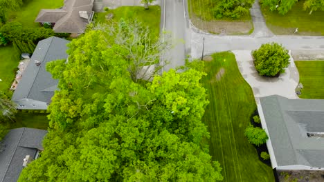 Slow-motion-traffic-tracking-with-drone