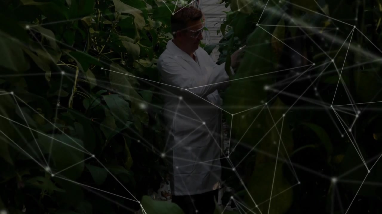 Researcher entering greenhouse scanning vines brushing activating data overlay mapping crop health