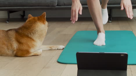 an unrecognizable female does yoga with her dog next to her