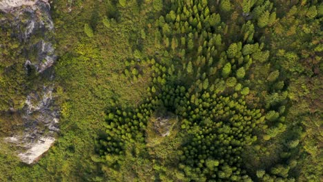 Paisaje-De-Bosque-Montañoso-Chino,-Vista-Aérea-De-Arriba-Hacia-Abajo