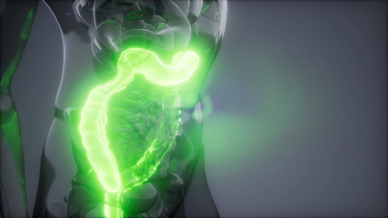 Human Colon Radiology Exam