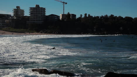 freshwater nsw australia surfing surf, wave ocean sunset