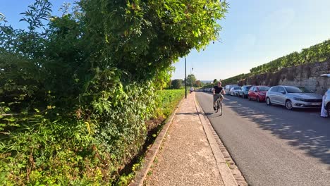 cyclist rides along vineyard road in saint emilion