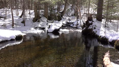 Un-Claro-Arroyo-De-Montaña-En-Un-Paisaje-Nevado