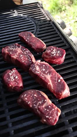 raw steaks on the grill