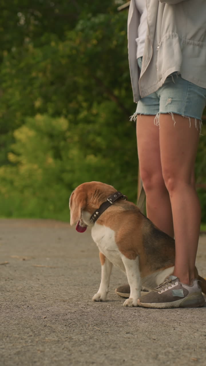 perro de color marrón sentado entre las piernas del propietario al aire libre, el propietario lleva pantalones cortos de denim casuales y zapatillas de deporte, la mano derecha del propietario está levantada, el fondo presenta un refugio de parada de autobús y árboles verdes