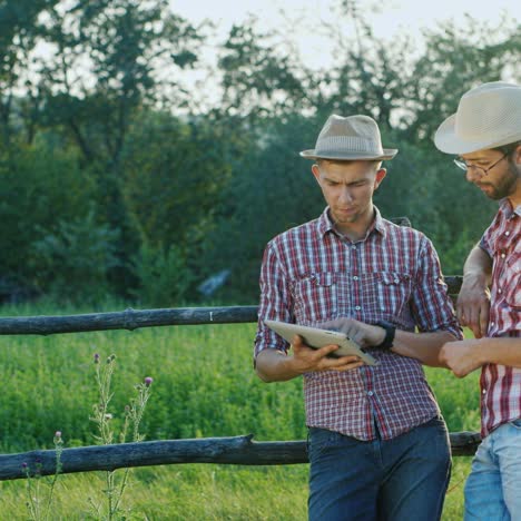 two farmers chat at a fence of a ranch and use a tablet 1