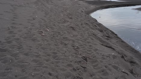 Moviéndose-A-Lo-Largo-De-Una-Playa-De-Arena-Negra-Ubicada-En-Hvitserkur,-Vatnsnesvegur,-Islandia,-También-Mostrando-Agua