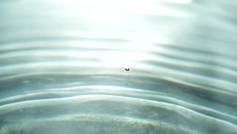 drops of a spring drop