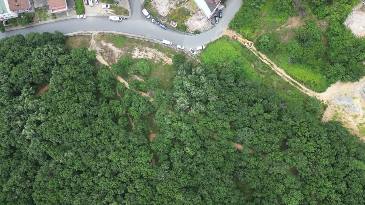 Drone image rising upwards from the forest walk area
