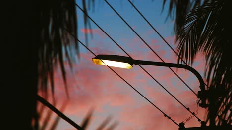 Silueta-De-Palmeras-Con-Farol-De-Calle-Bajo-El-Cielo-Del-Atardecer-En-Curacao---Midshot