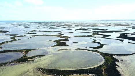 aerial view of round lakes