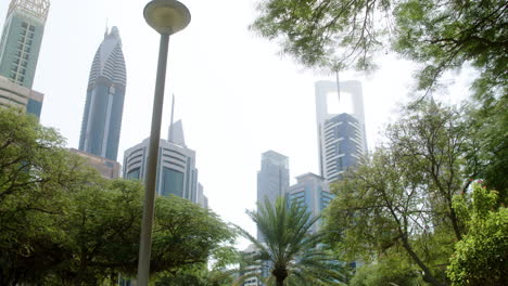 hermoso parque en la ciudad