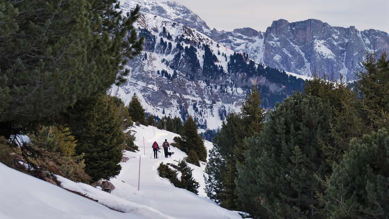 los excursionistas atraviesan un sendero montañoso nevado rodeado de pinos, con impresionantes picos en el fondo