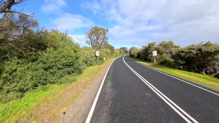 Vista in movimento lungo una strada rurale asfaltata fiancheggiata da alberi verdi e vegetazione