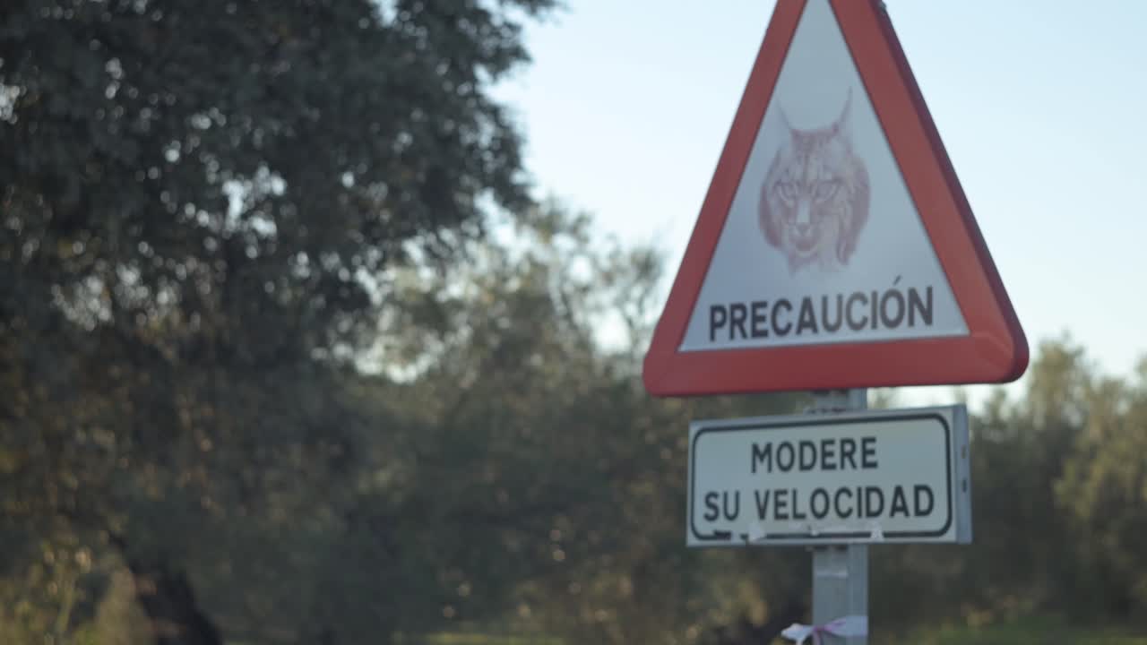 Iberian lynx warning sign Precaucion and Modere su velocidad on a rural road
