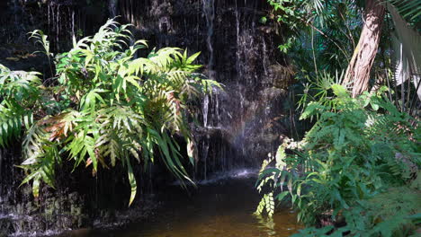 A-small-indoor-manmade-waterfalls-with-the-water-falling-over-the-rocks-and-through-the-many-tropical-plants