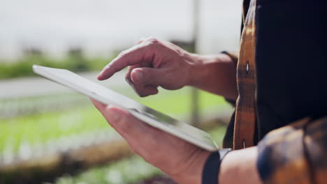 farmer using tablet in greenhouse