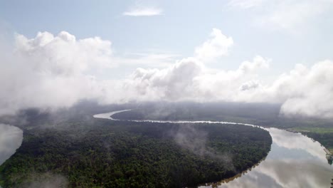 aerial view of suriname river going through amazon jungle, south america rain forest