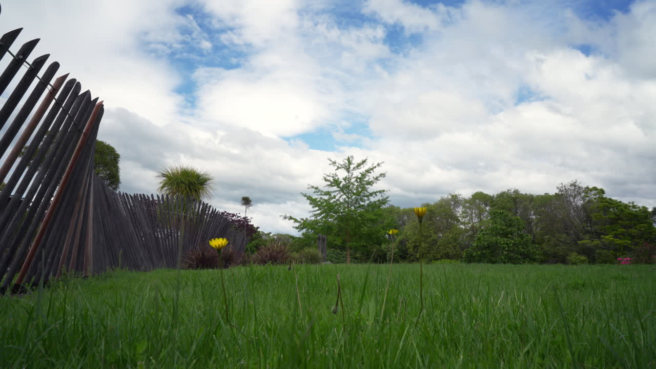 뉴질랜드 남섬의 정원에서 풀잎을 지나가는 낮은 각도 모션스