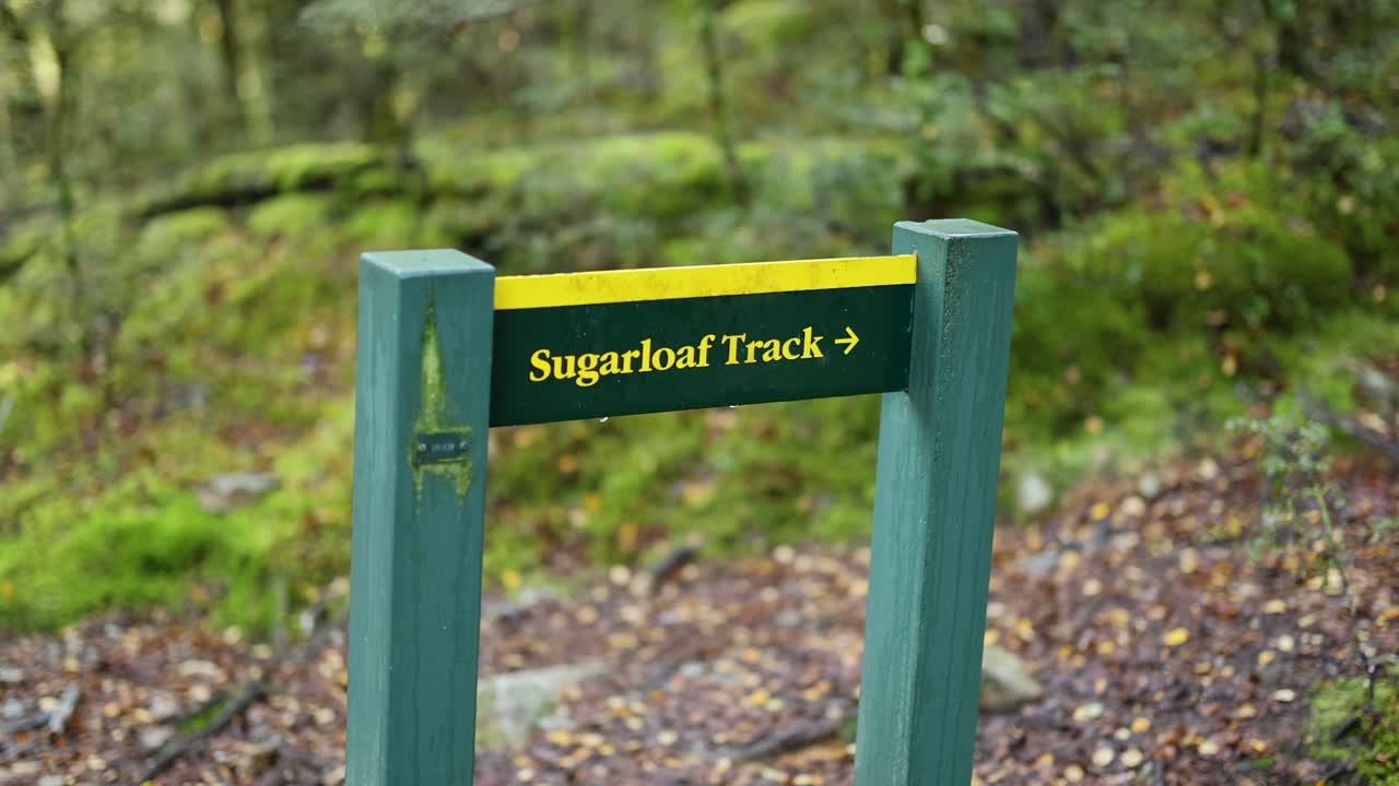 Camera moves steadily toward a green Sugarloaf Track signpost along a mossy rainforest trail, with soft natural daylight and shallow depth of field